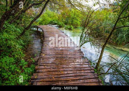 Deep Forest stream. Acqua cristallina. I laghi di Plitvice, Croazia Foto Stock