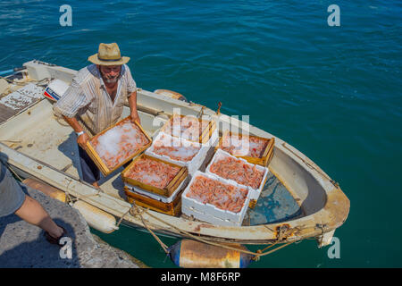 SANTA MARGHERITA LIGURE, Italia, Luglio 12, 2017 - Fisherman scaricare il pesce dopo una giornata di lavoro, la provincia di Genova, Riviera Ligure, Italia Foto Stock