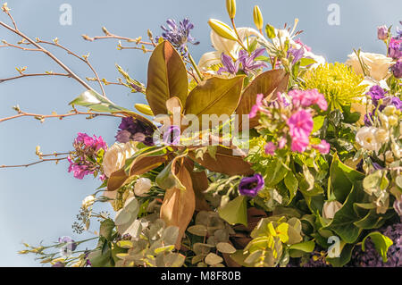 In prossimità di un bel bouquet Foto Stock