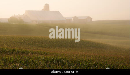 Mattinata nebbiosa sunrise in una fattoria vicino a Libertytown MD Foto Stock