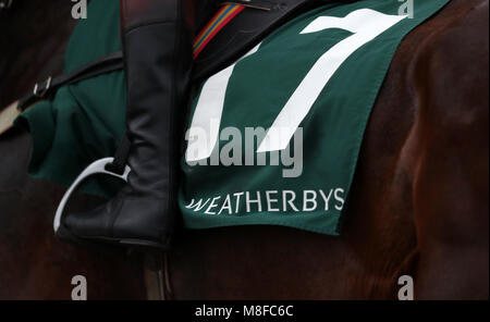 Guide e piloti di andare a post prima la Weatherbys paraurti campione durante il Signore giorno del 2018 Cheltenham Festival a Cheltenham Racecourse Foto Stock