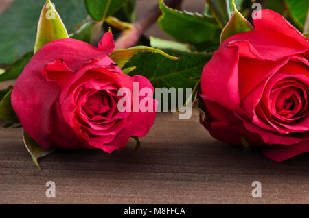 Tre rose rosse contro un sfondo marrone in linea Foto Stock