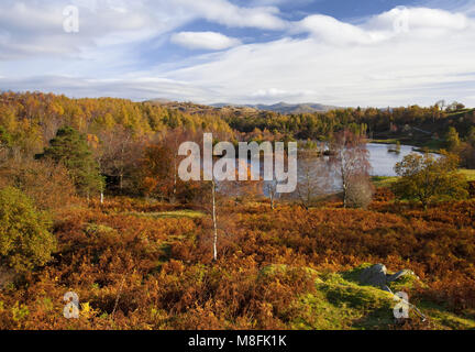 Tarn Hows in autunno Lake District Foto Stock