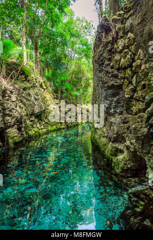 Piccolo fiume arounded con le rocce nel Parco Xcaret, Messico Foto Stock