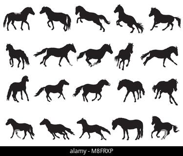 Il vettore isolato cavalli (fiordo norvegese) pony sagome in piedi, trotto e al galoppo in colore nero su sfondo bianco Illustrazione Vettoriale