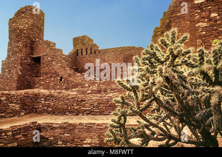 Buckhorn cholla cactus a La Purisima Concepcion, rovine della chiesa unità Quarai, Salinas Pueblo Missions National Monument, Nuovo Messico, STATI UNITI D'AMERICA Foto Stock