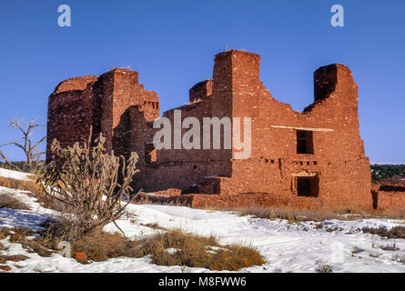 Buckhorn cholla cactus a La Purisima Concepcion, rovine della chiesa unità Quarai, Salinas Pueblo Missions National Monument, Nuovo Messico, STATI UNITI D'AMERICA Foto Stock