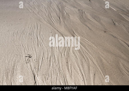 Vuoto infinita spiaggia sabbiosa sul Mar Baltico nei pressi di Leba dune di sabbia in Polonia Foto Stock