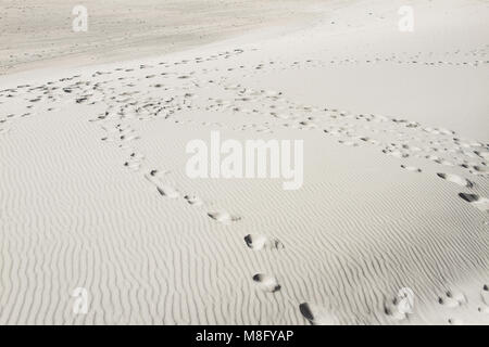 Vuoto infinita spiaggia sabbiosa sul Mar Baltico nei pressi di Leba dune di sabbia in Polonia Foto Stock