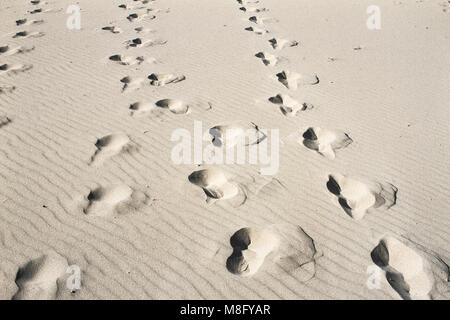 Vuoto infinita spiaggia sabbiosa sul Mar Baltico nei pressi di Leba dune di sabbia in Polonia Foto Stock