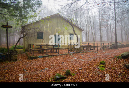 Casa isolata nella foresta di faggi boschi // vecchia casa / isolato / casa di pietra / autunno / foresta / caduta foglie Foto Stock