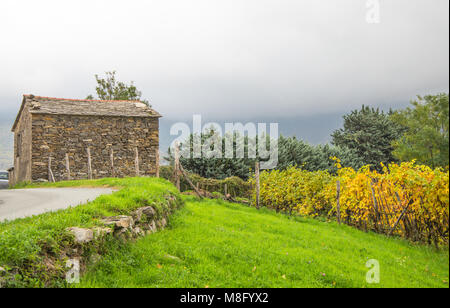 La casa in pietra con il vigneto in autumntime, Italia. Foto Stock