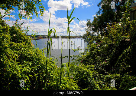 Birchgrove Sydney NSW Australia 2018 Foto Stock