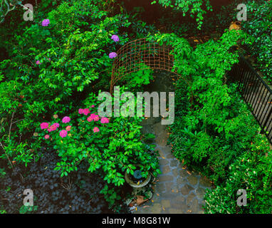 Percorso del giardino, Cypress Avenue Garden, Mill Valley, California Foto Stock