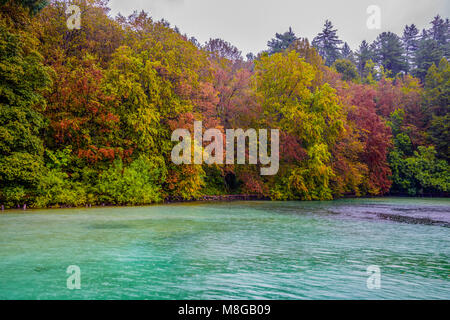 Bellissimo Parco d'autunno. Autunno nel parco dei laghi di Plitvice, Croazia, . In autunno gli alberi e le foglie. Paesaggio autunnale.Parco in autunno. Bosco in autunno. Foto Stock