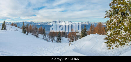 Fantastica vista panoramica sulle Dolomiti da un sentiero di fare escursioni con le racchette da neve. Neve fresca, polvere copertura del terreno, alberi innevati nella foresta, cielo blu. Foto Stock