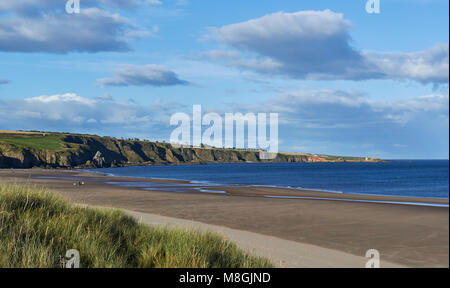 San Ciro Beach in Aberdeenshire guardando a Nord su una bella giornata autunnale, con la spiaggia esposto dalla bassa marea che si allungano nella distanza. Foto Stock