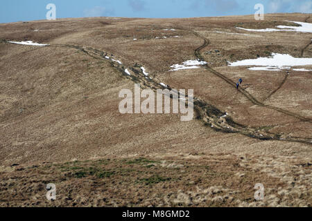 Fellrunners sulla costa a costa percorso verso il vertice della Wainwright Rampsgill testa da Kidsty luccio nel Parco Nazionale del Distretto dei Laghi, Cumbria., Foto Stock