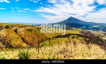 Vista dall'estremità sud dell'Bainskloof passano tra Ceres e Wellington, che mostra i danni causati da incendi di foresta nelle montagne del Western Cape Foto Stock