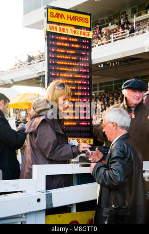Un uomo mette una puntata a una via bookmakers a Cheltenham Racecourse Foto Stock