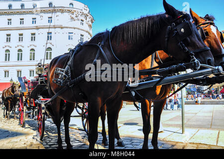 Fiaker vor der Wiener Hofburg Foto Stock