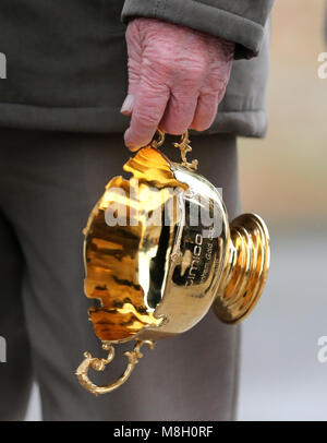 Una vista della Gold Cup durante un photocall at Virginia ceneri, Templecombe. Fiume nativo, addestrati da Colin Tizzard e cavalcato da Richard Johnson, ha vinto il Timico Gold Cup al festival di Cheltenham ieri. Foto Stock