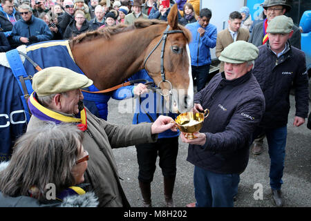 Colin Tizzard con fiume nativi e proprietari di Garth e Anne Ginestra durante una Gold Cup vincitori photocall at Virginia ceneri, Templecombe. Foto Stock