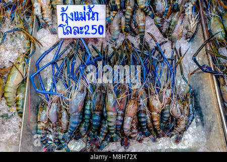 Gamberetti freschi su ghiaccio sono in vendita al mercato di Nonthaburi Foto Stock