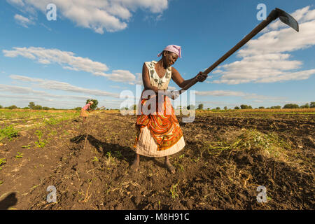 Donna arare un campo con le zappe in Zimbabwe.