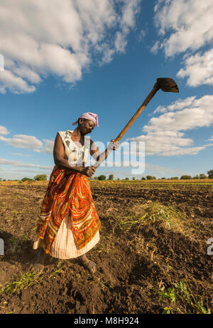 Donna arare un campo con le zappe in Zimbabwe.