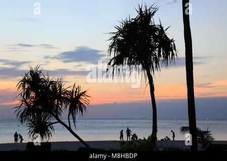 Thailandia Phuket Kata Noi Beach, tramonto, palme, persone Foto Stock