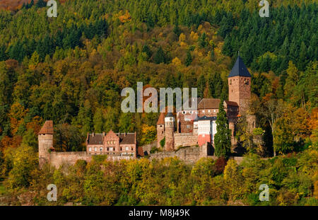 Castello di Zwingenberg sopra la valle del Neckar, distretto di Neckar-Odenwald, Baden-Württemberg, Germania Foto Stock