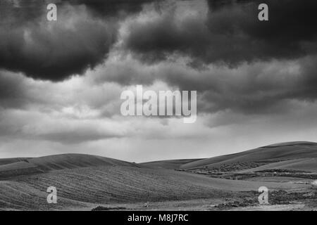 Lonely Arte Natura colline campo sotto cielo nuvoloso le tempeste immagine in bianco e nero Foto Stock