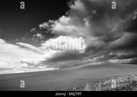 Lonely Arte Natura colline campo sotto cielo nuvoloso le tempeste immagine in bianco e nero Foto Stock