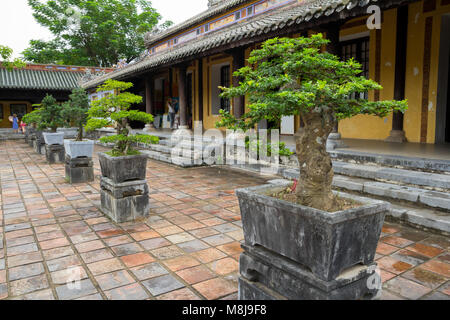 Alberi di bonsai sul tempio cinese cortile Foto Stock