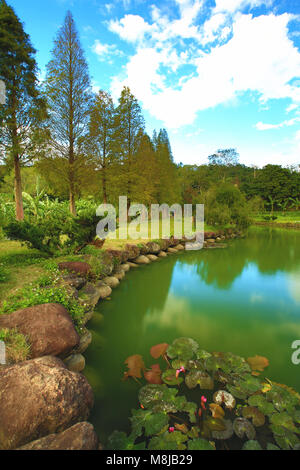 Bellissimo paesaggio del lago con colorati cipresso calvo alberi e riflessioni in autunno Foto Stock