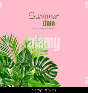 Verde Tropical lascia il telaio su sfondo rosa con spazio di copia Foto Stock