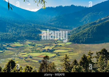 Valle di Phobjikha - Bhutan centrale Foto Stock