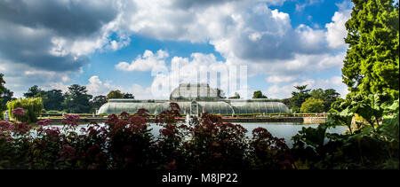 Il Palm Victorian House si trova circondato da coltivare alberi e piante nella magnifica Royal Botanical Gardens di Kew Foto Stock