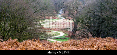 Un percorso di avvolgimento i serpenti giù Broomfield Hill di Robin Hood cancello in Richmond Park che è una riserva naturale nazionale e di una zona speciale di conservazione Foto Stock