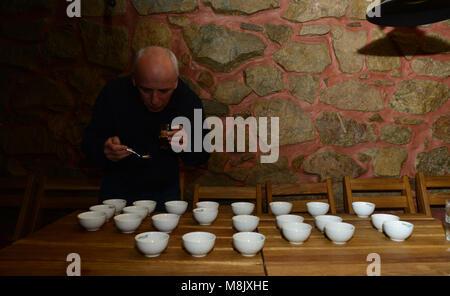 Caffè cuptasting - Concorrenza nel discernimento di caffè provenienti da origini diverse Foto Stock