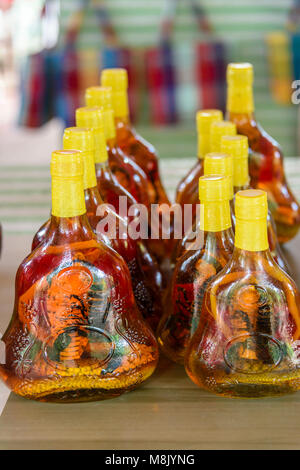 Bottiglie di vino di riso riempito con una testa di serpenti e uno scorpione in vendita, Vietnam Foto Stock