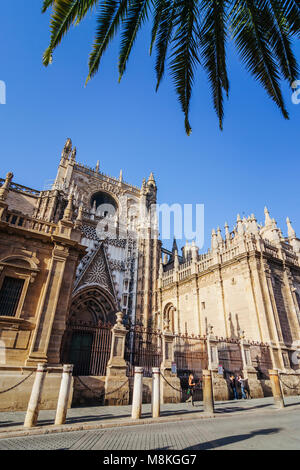 Siviglia, in Andalusia, Spagna : Puerta del Príncipe (Porta del Principe) dell'Unesco di cui Cattedrale di Siviglia, la più grande struttura gotica in w Foto Stock