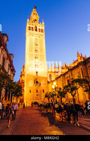 Siviglia, in Andalusia, Spagna : Giralda torre campanaria illuminata di notte come visto da Placentines Street nel quartiere di Santa Cruz Foto Stock