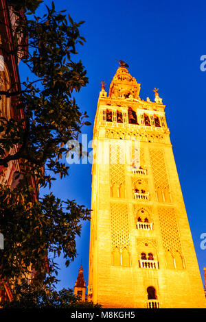 Siviglia, in Andalusia, Spagna : Giralda torre campanaria illuminata di notte come visto da Placentines Street nel quartiere di Santa Cruz Foto Stock