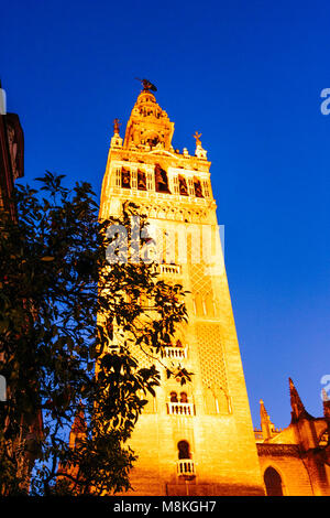 Siviglia, in Andalusia, Spagna : Giralda torre campanaria illuminata di notte come visto da Placentines Street nel quartiere di Santa Cruz Foto Stock