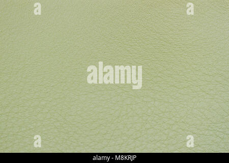 Vera pelle di consistenza, colore verde chiaro. Background moderno, sfondo, il substrato, la composizione con spazio di copia Foto Stock