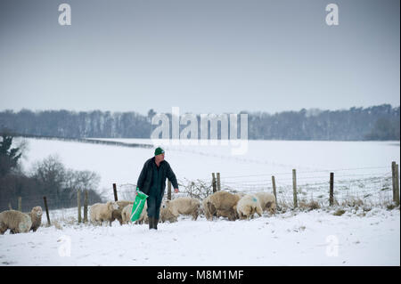 Il 18 marzo 2018, Poundbury, Dorchester Dorset, Inghilterra. Regno Unito Meteo. Il contadino nutre il suo neonato agnelli con le pecore in amaramente venti freddi e neve pesante di docce in Poundbury come bestia da est 2 copre il paese in nevischio e neve con più meteo siberiano. © David Partridge / Alamy Live News Foto Stock