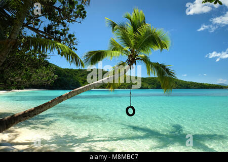 Swing corda appeso a un albero di palma oltre l'acqua a una spiaggia deserta su San Giovanni isola in US Virgin Islands National Park. Foto Stock