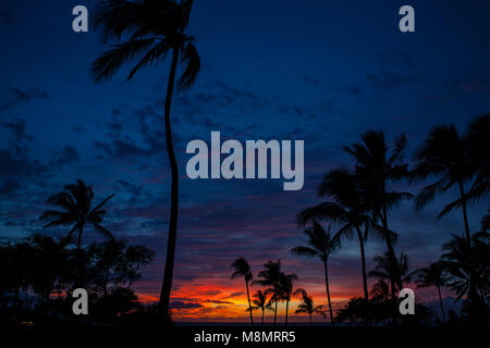 Colori vividi visualizzato durante un tramonto sull'isola di Maui silhouette palme guardando ad ovest attraverso Maluaka Beach. Foto Stock